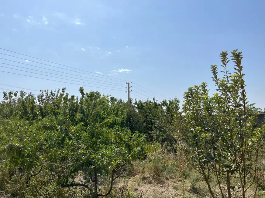 باغچه ۲۱۰۰ متر حصارمهتر دو کله با مجوز گلخانه|فروش زمین و ملک کلنگی|رباطکریم, حصار مهتر|دیوار