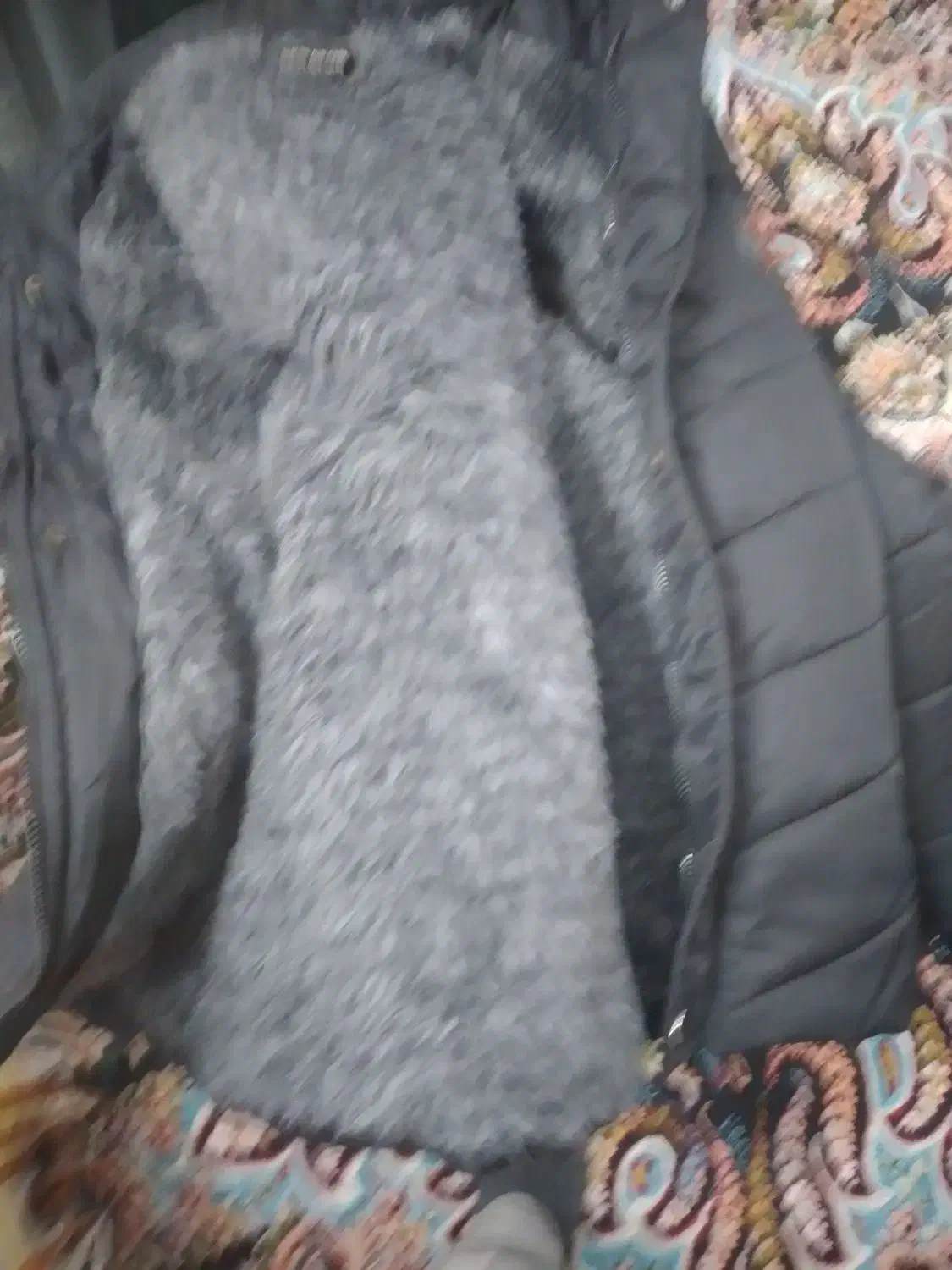 کابش بارانی|لباس|یزد, |دیوار