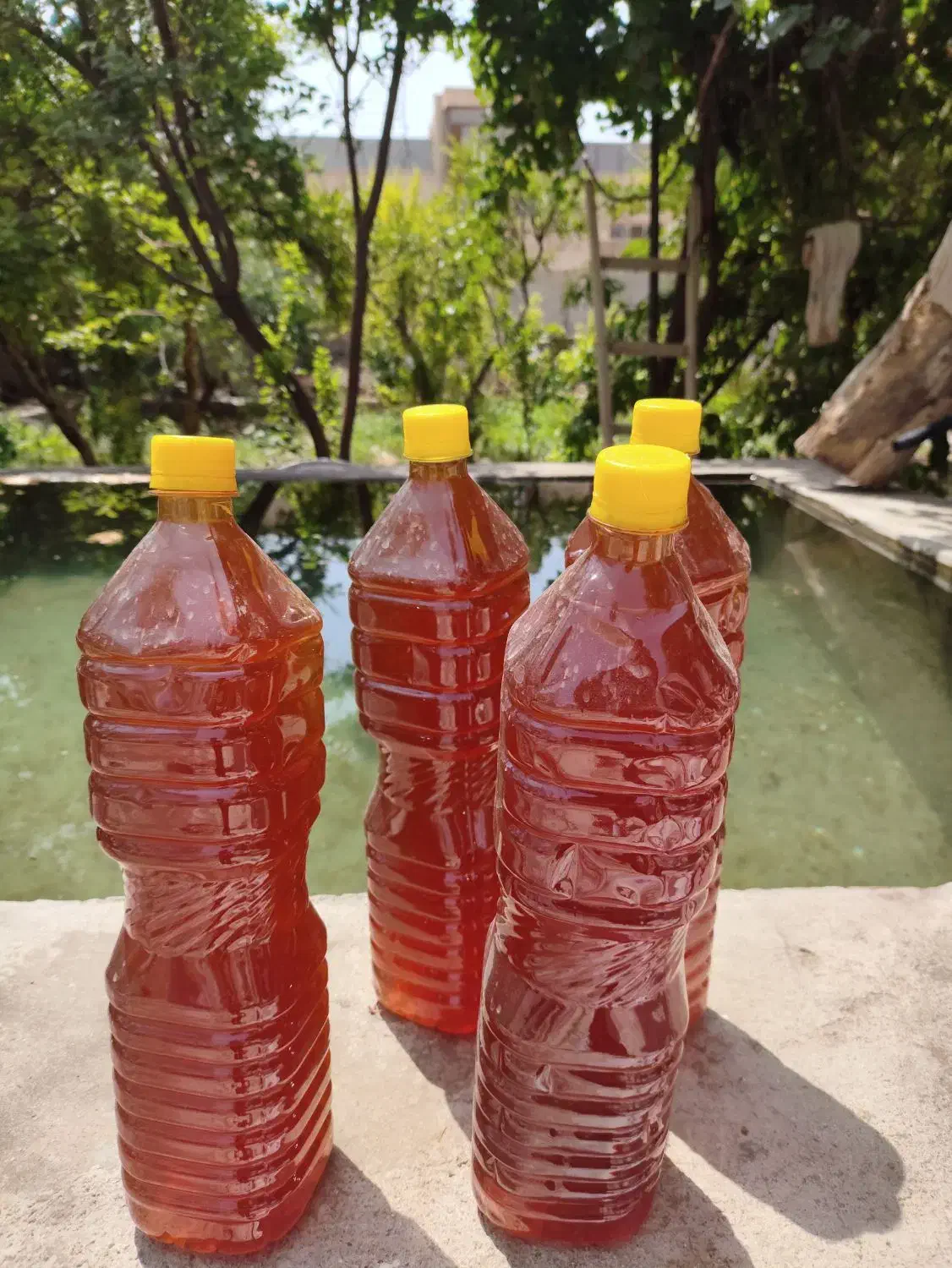 فروش عمده سرکه سیب طبیعی|خوردنی و آشامیدنی|مهریز, |دیوار