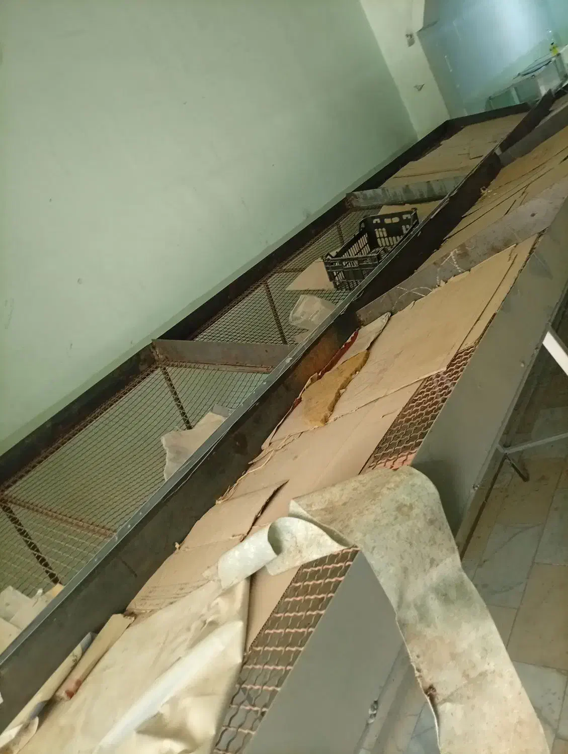 قفسه میوه فروشی|فروشگاه و مغازه|سیراف, |دیوار