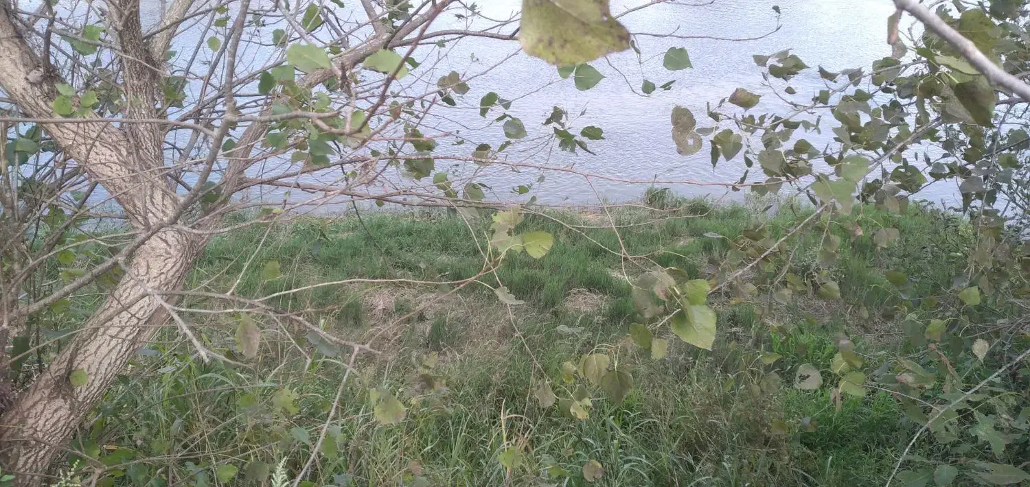 زمین کشاورزی|فروش دفتر صنعتی، کشاورزی، تجاری|کیاشهر, |دیوار