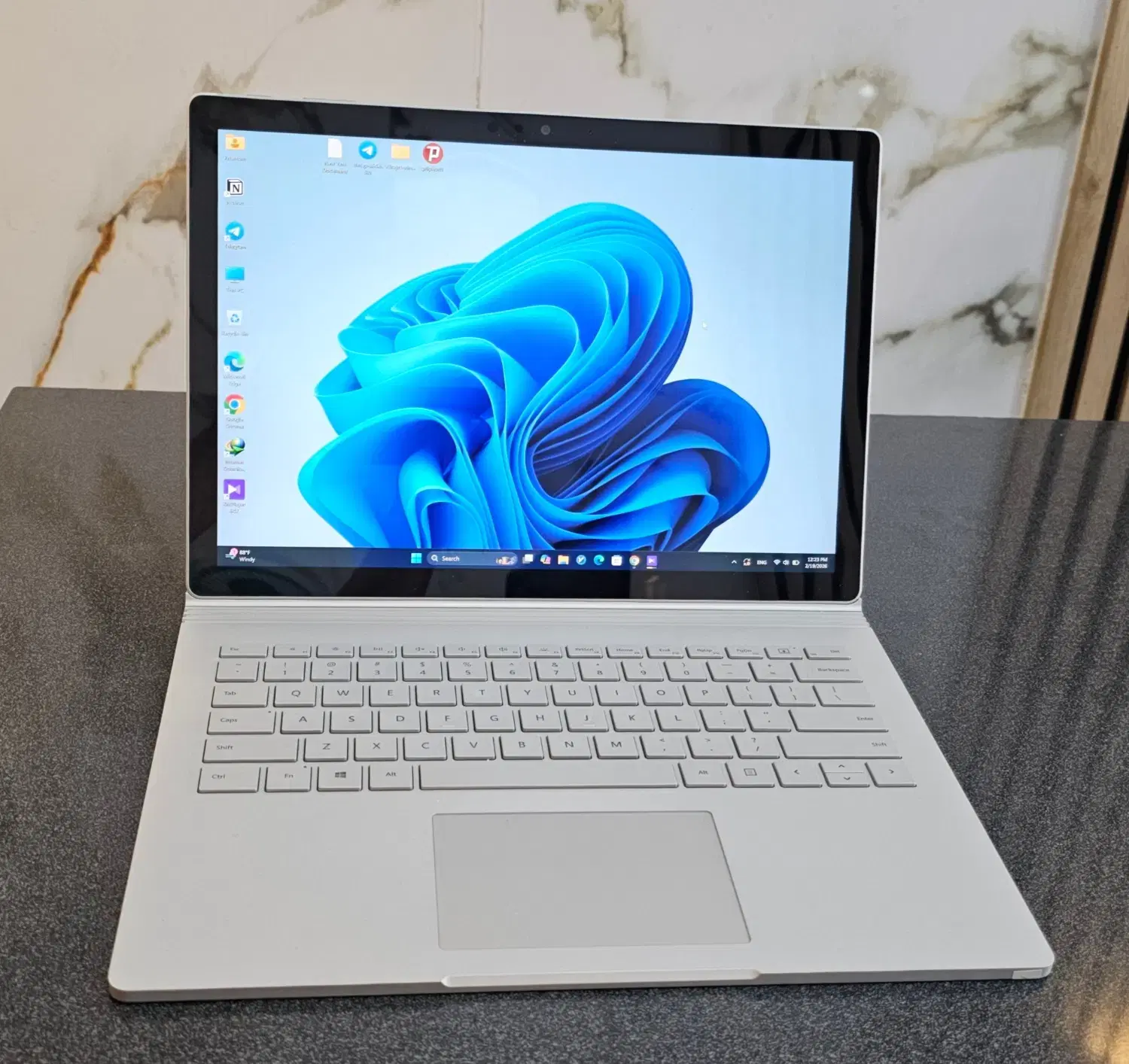 Surface Book 2|رایانه همراه|رشت, کاکتوس|دیوار