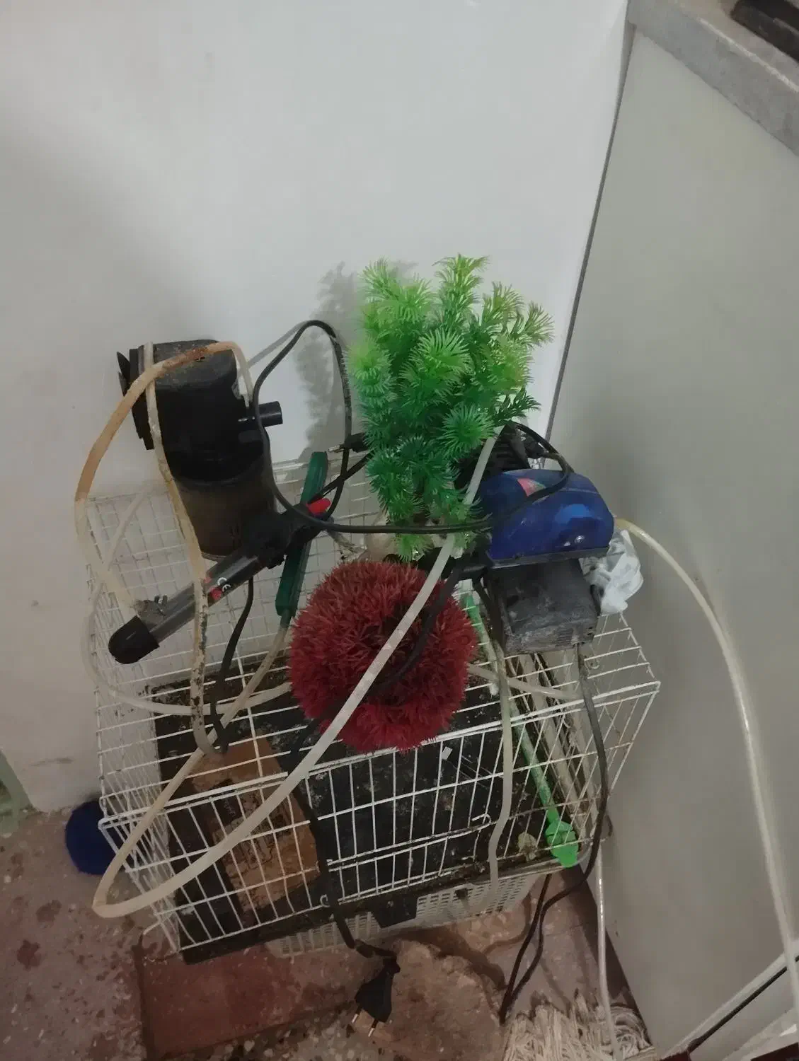 2 عدد آکواریوم و وسایل|ماهی|قائن, |دیوار