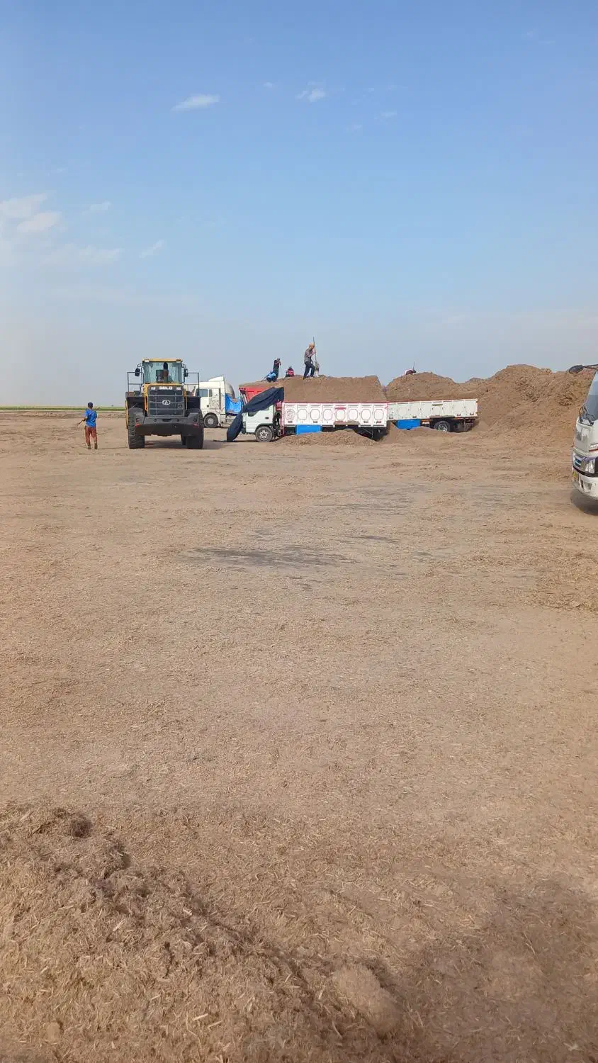 خوراک دام|عمدهفروشی|مبارکه, |دیوار