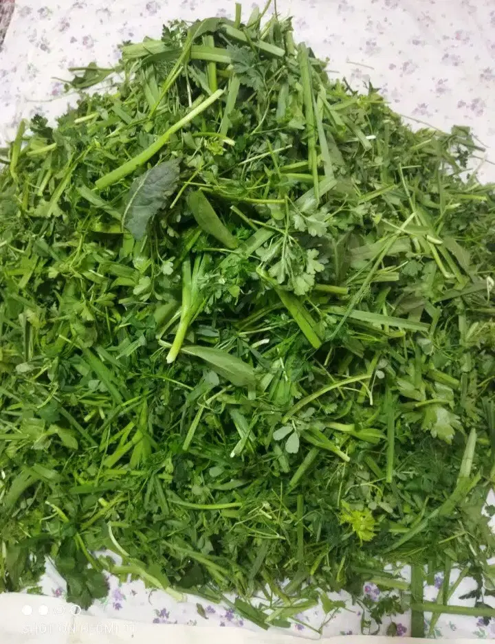 سبزیجات|خوردنی و آشامیدنی|نجفآباد, ریاضی|دیوار