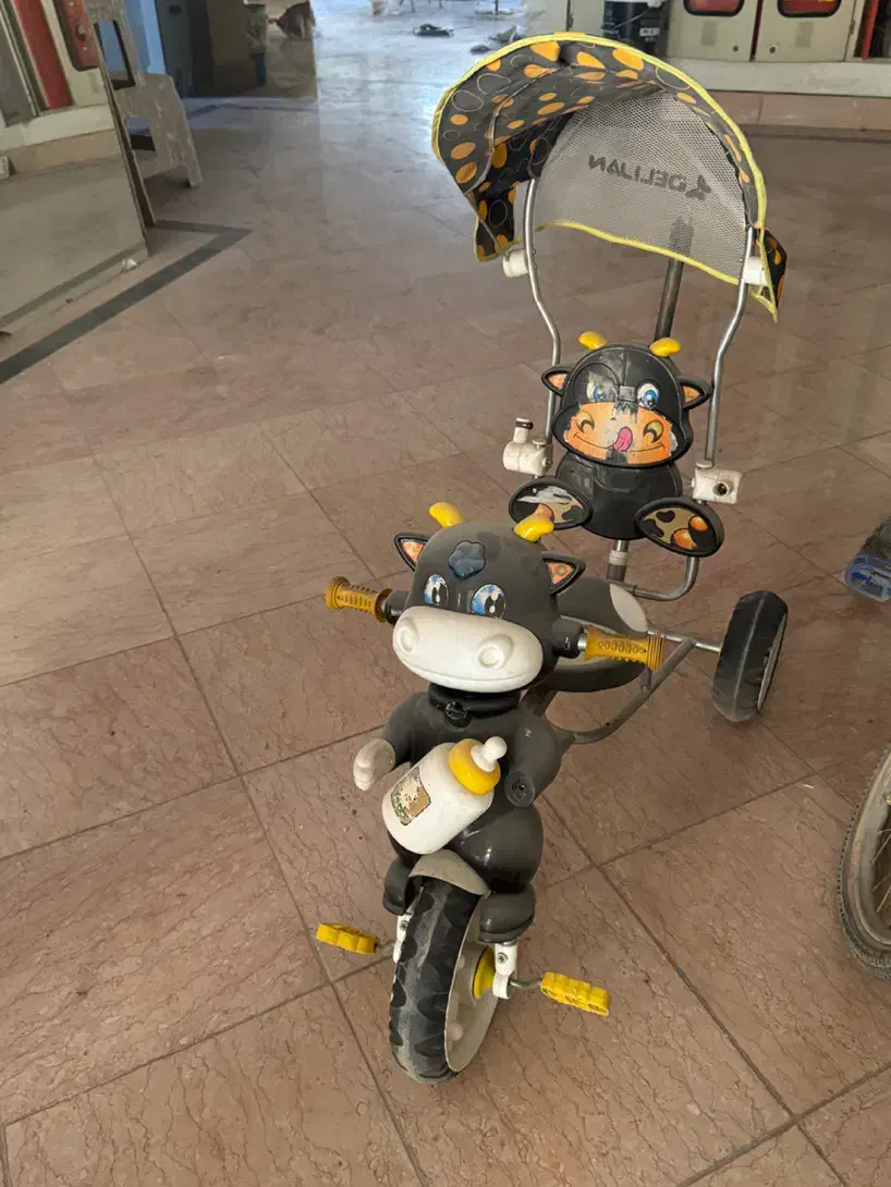 دوچرخه کودک|دوچرخه، اسکیت، اسکوتر|اصفهان, باغ فدک|دیوار