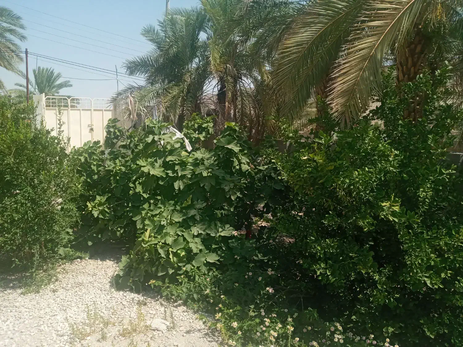 فروش منزل ویلایی|فروش خانه و ویلا|شنبه و طسوج, |دیوار