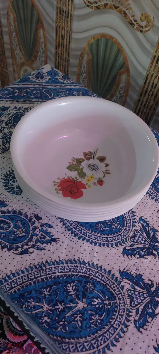 ظرف چینی|ظروف سرو و پذیرایی|زاهدان, |دیوار