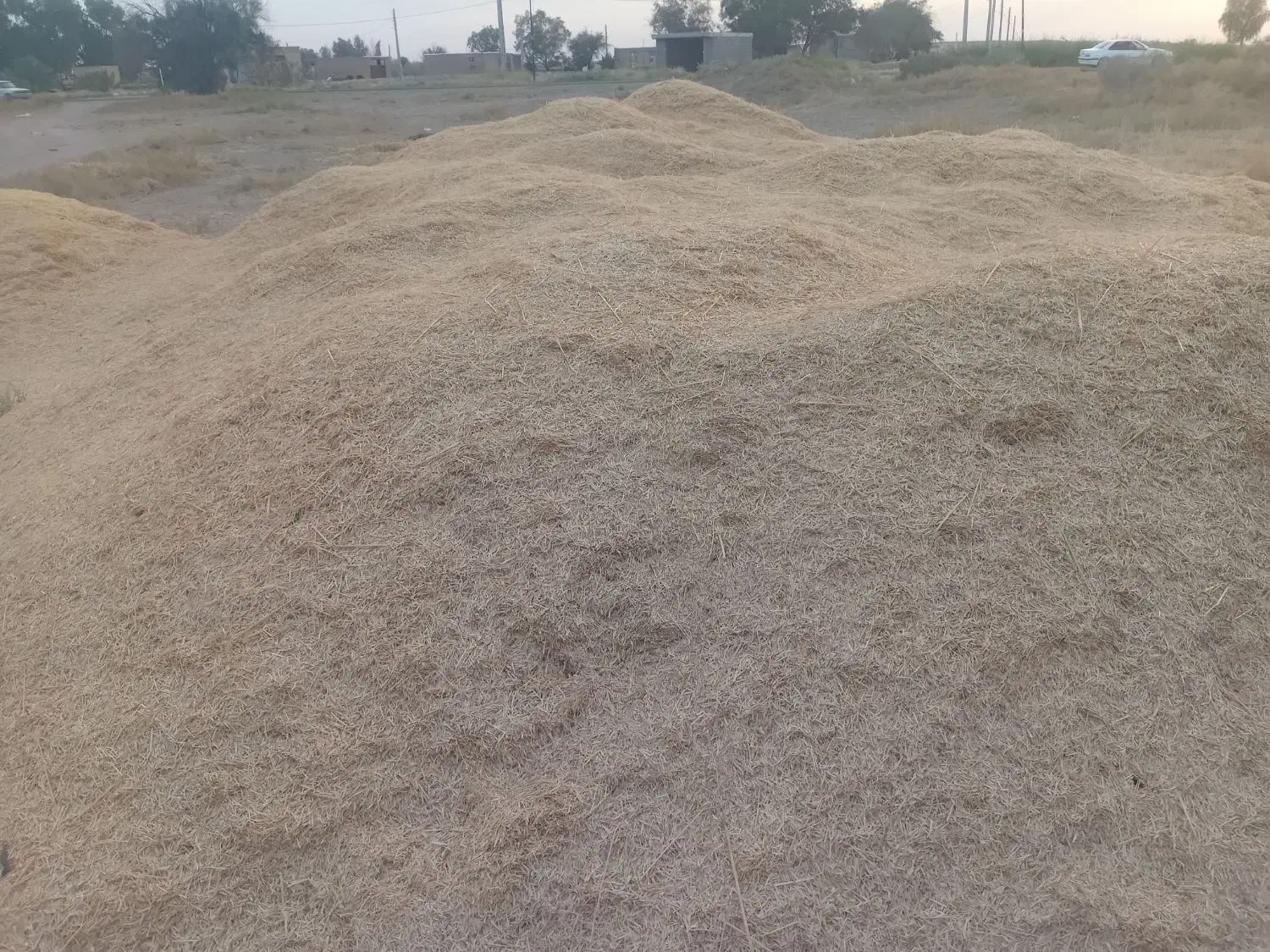 کاه|خدمات باغبانی و درختکاری|رودبار (کرمان), |دیوار