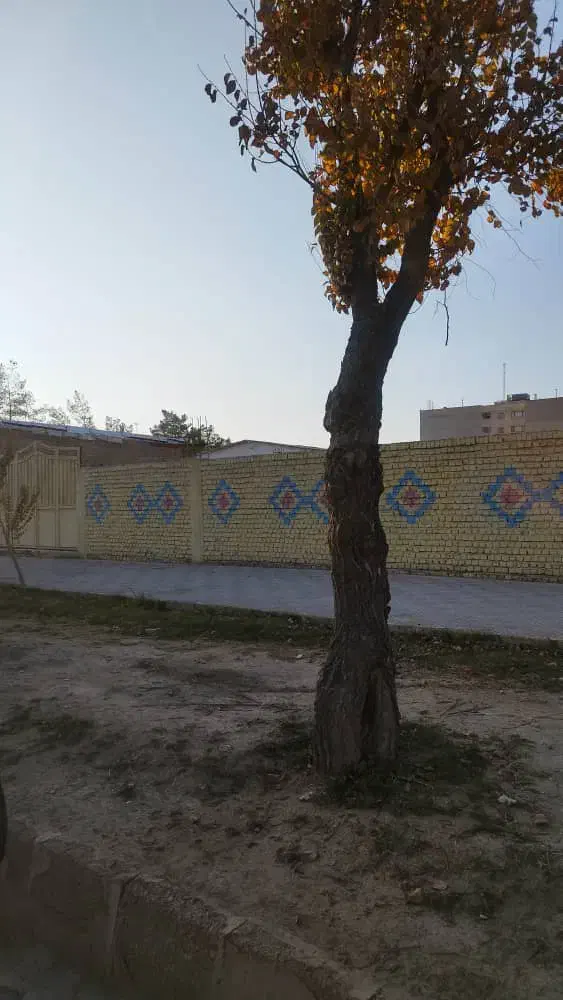 ۲۱۴۰ مترمربع زمین بر خیابان اصلی مرودشت|فروش زمین و ملک کلنگی|مرودشت, پشت سایپا‎|دیوار