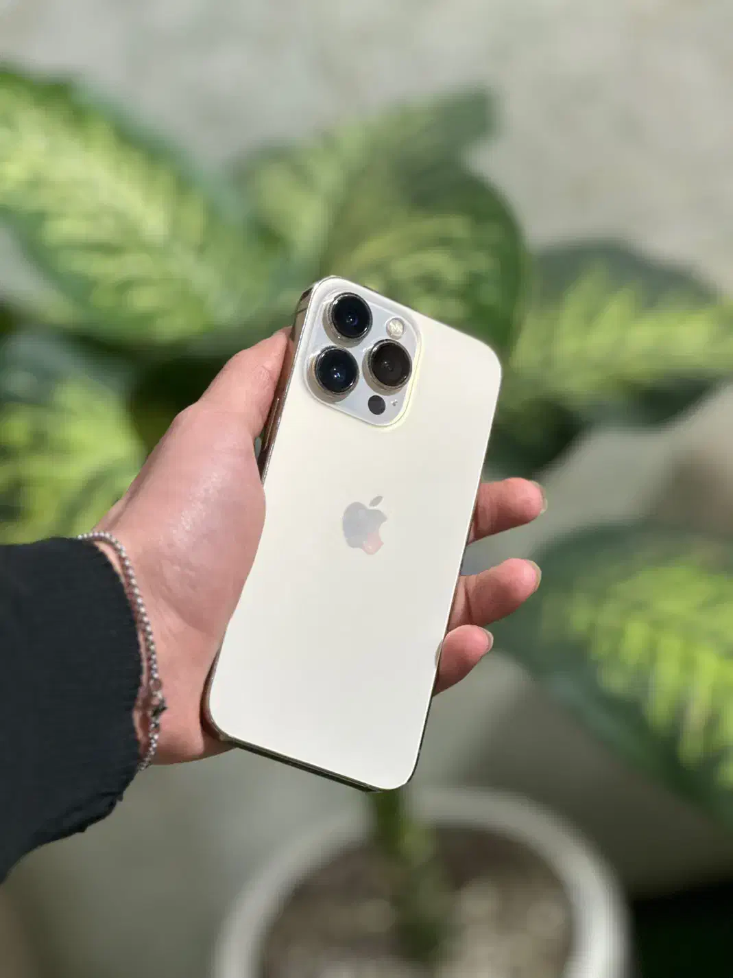 iphone 13 pro|موبایل|ارومیه, |دیوار