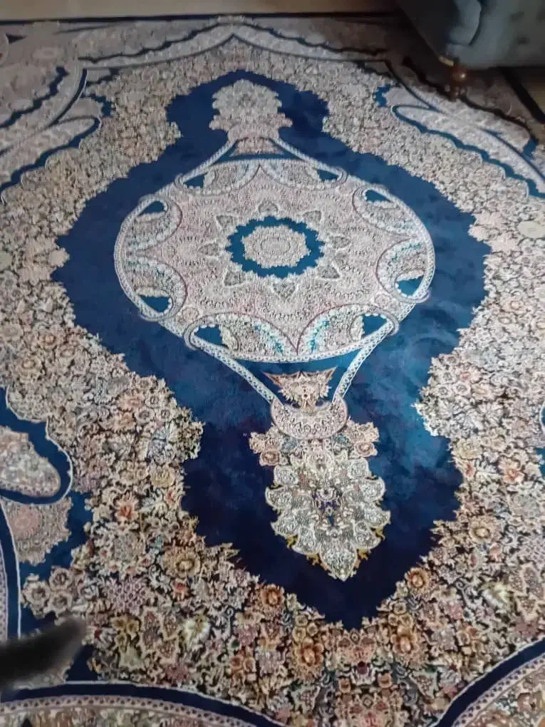 فرش ۱۲ متری|فرش|رشت, نظری|دیوار