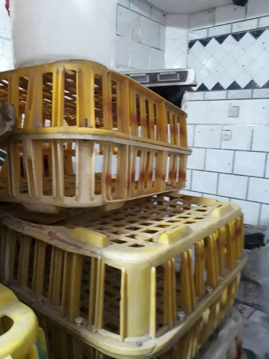 مغازه مرغ زنده|فروشگاه و مغازه|اندیمشک, |دیوار