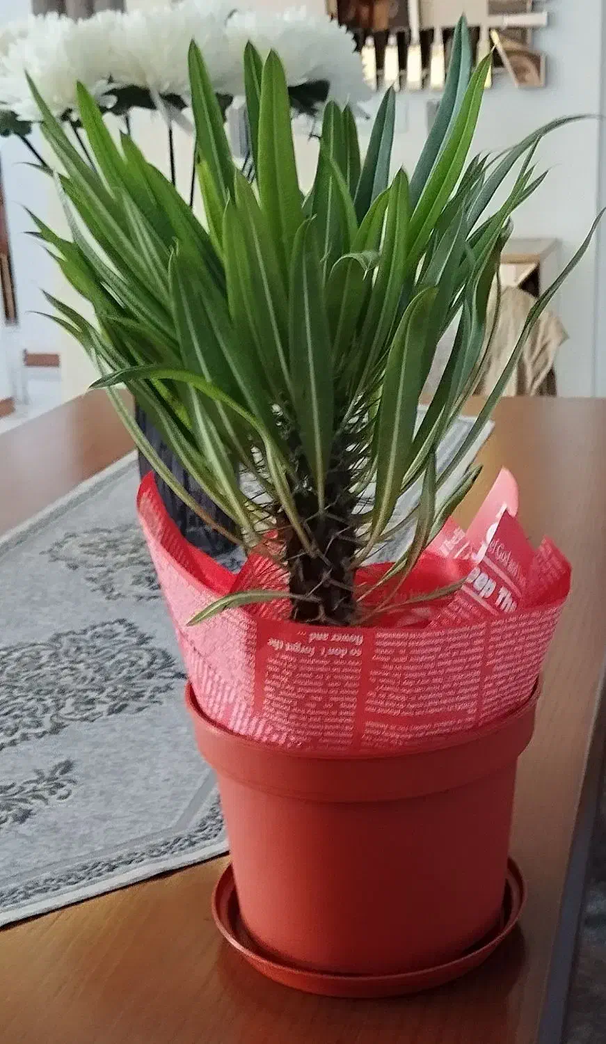 وسایل منزل|بوفه، ویترین، کنسول|رشت, باهنر|دیوار