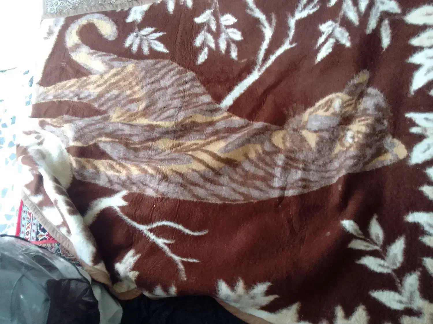 پتومعمولی|رختخواب، بالش، پتو|کیاشهر, |دیوار