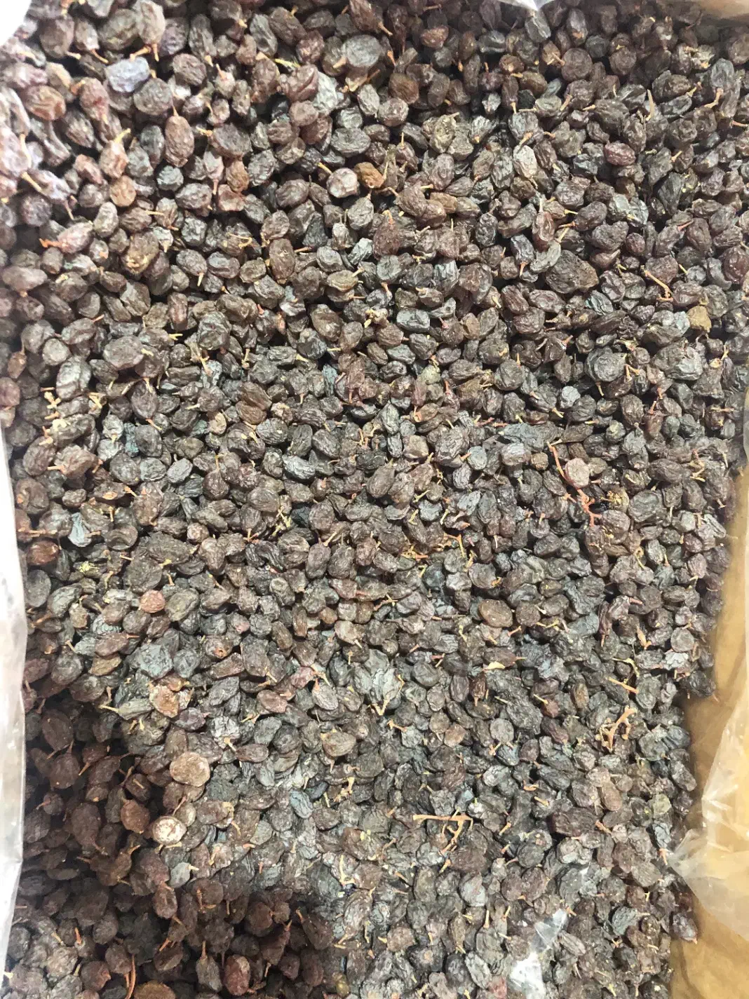 کشمش|خوردنی و آشامیدنی|زنجان, |دیوار