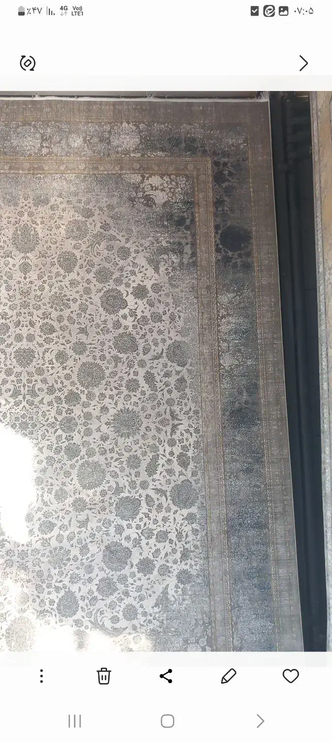 قالی کاملا سالم و نو|فرش|شهرضا, |دیوار