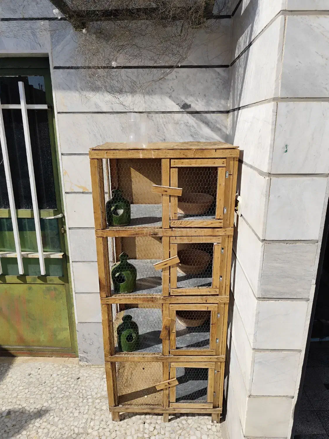 جفت کنی کفتر|لوازم جانبی حیوانات|اسلام‌شهر, مظفریه|دیوار