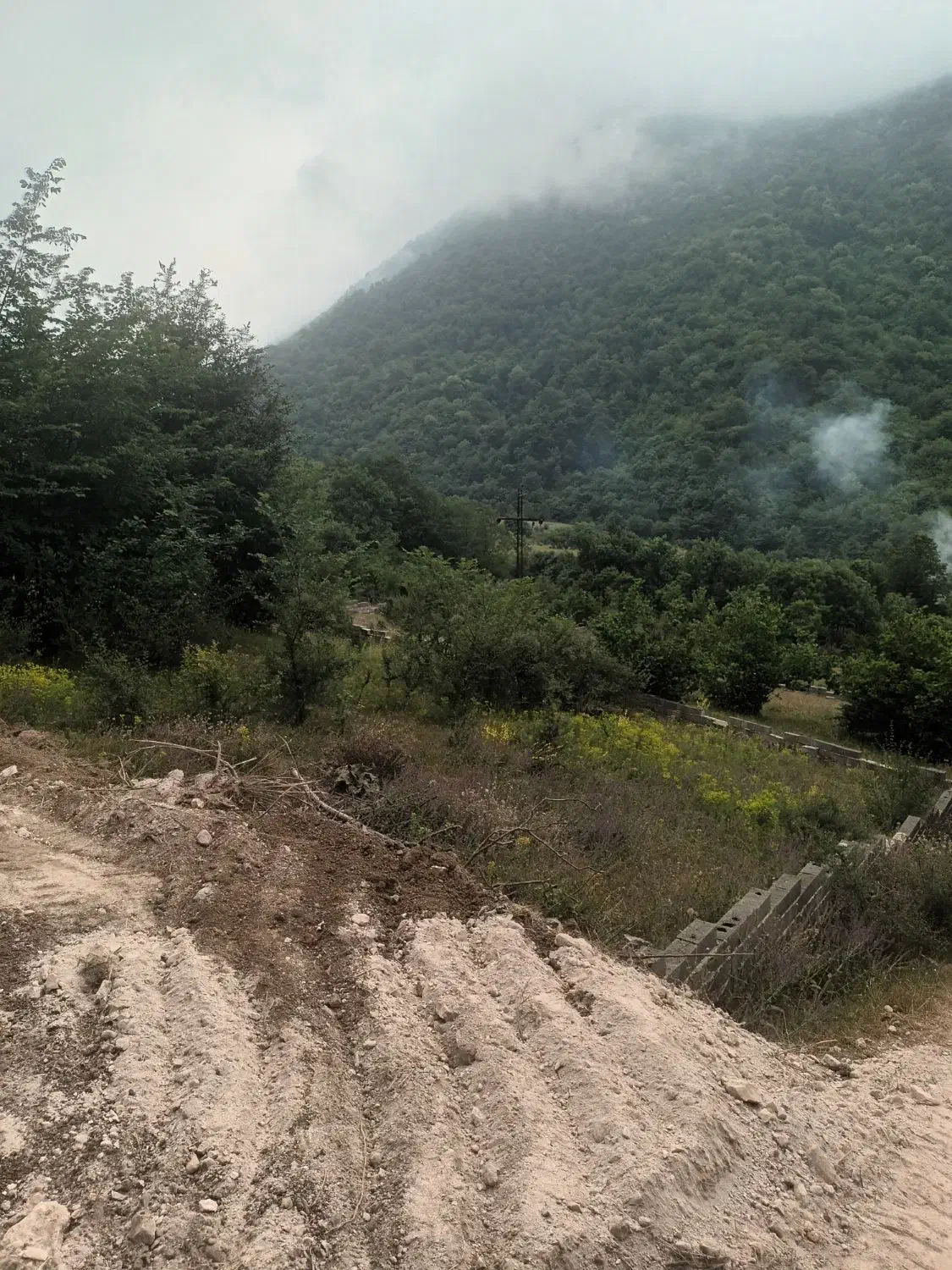 ۸۰۰ متر زمین لزیر رویان با ویو جنگل قابل ساخت|فروش زمین و ملک کلنگی|رویان, |دیوار