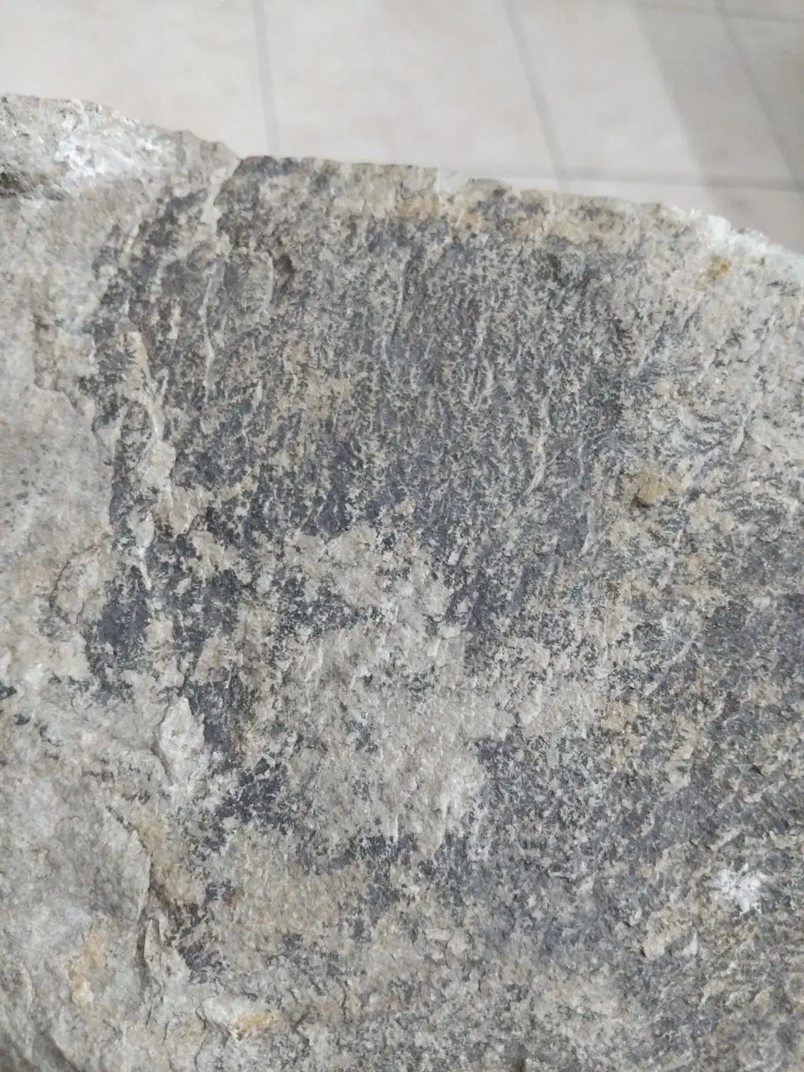 سنگ قیمتی|جواهرات|تهران, شهرک آزمایش|دیوار