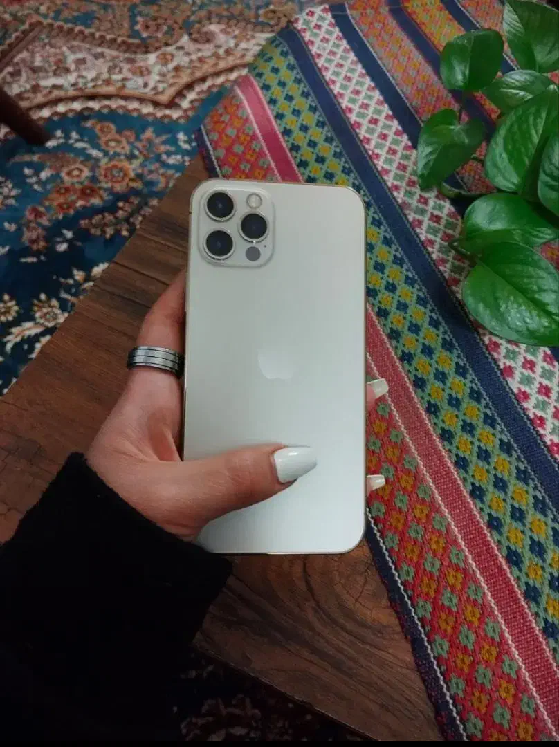 آیفون 12pro 256گیگ|موبایل|مشهد, گلشور|دیوار