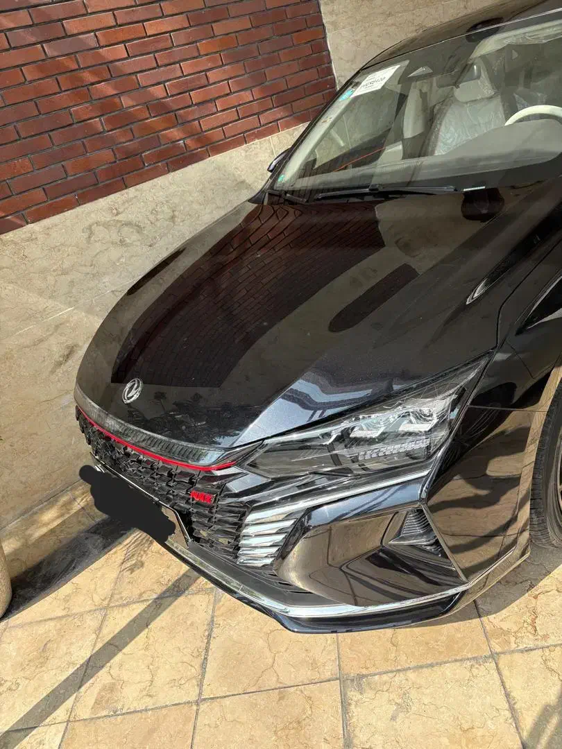 دانگ فنگ شاین مکس|خودرو سواری و وانت|تهران, پامنار|دیوار