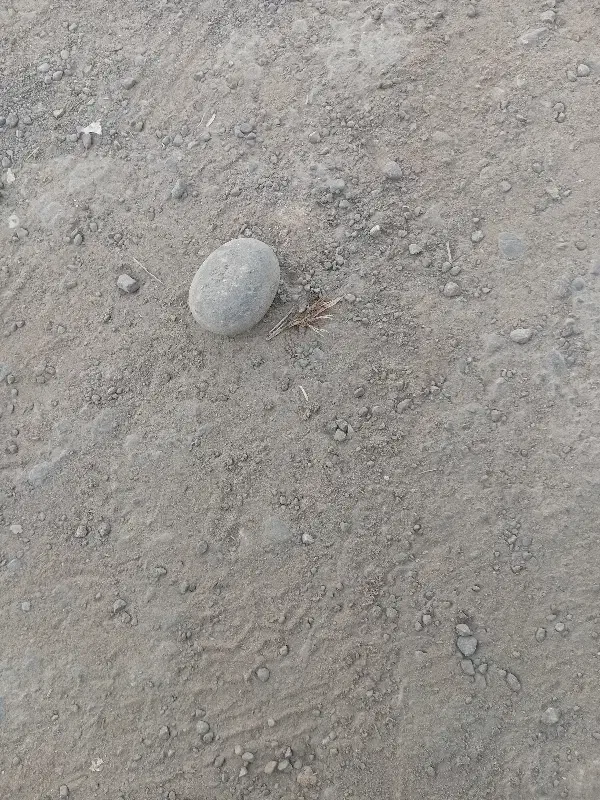 سنگ فروشی|کلکسیون اشیاء عتیقه|چابهار, |دیوار