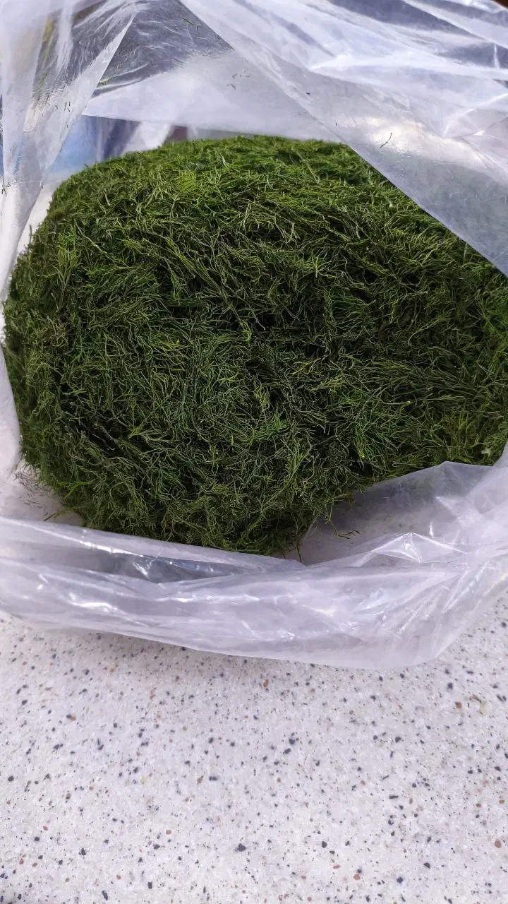 محصولات خانگی متین|خوردنی و آشامیدنی|کرج, اتحاد|دیوار