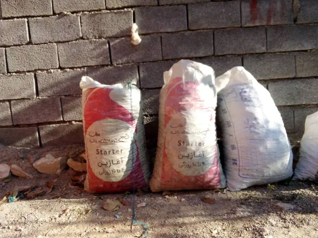 بلوط امسال درشت وسالم در ملکشاهی|عمده‌فروشی|ملکشاهی, |دیوار