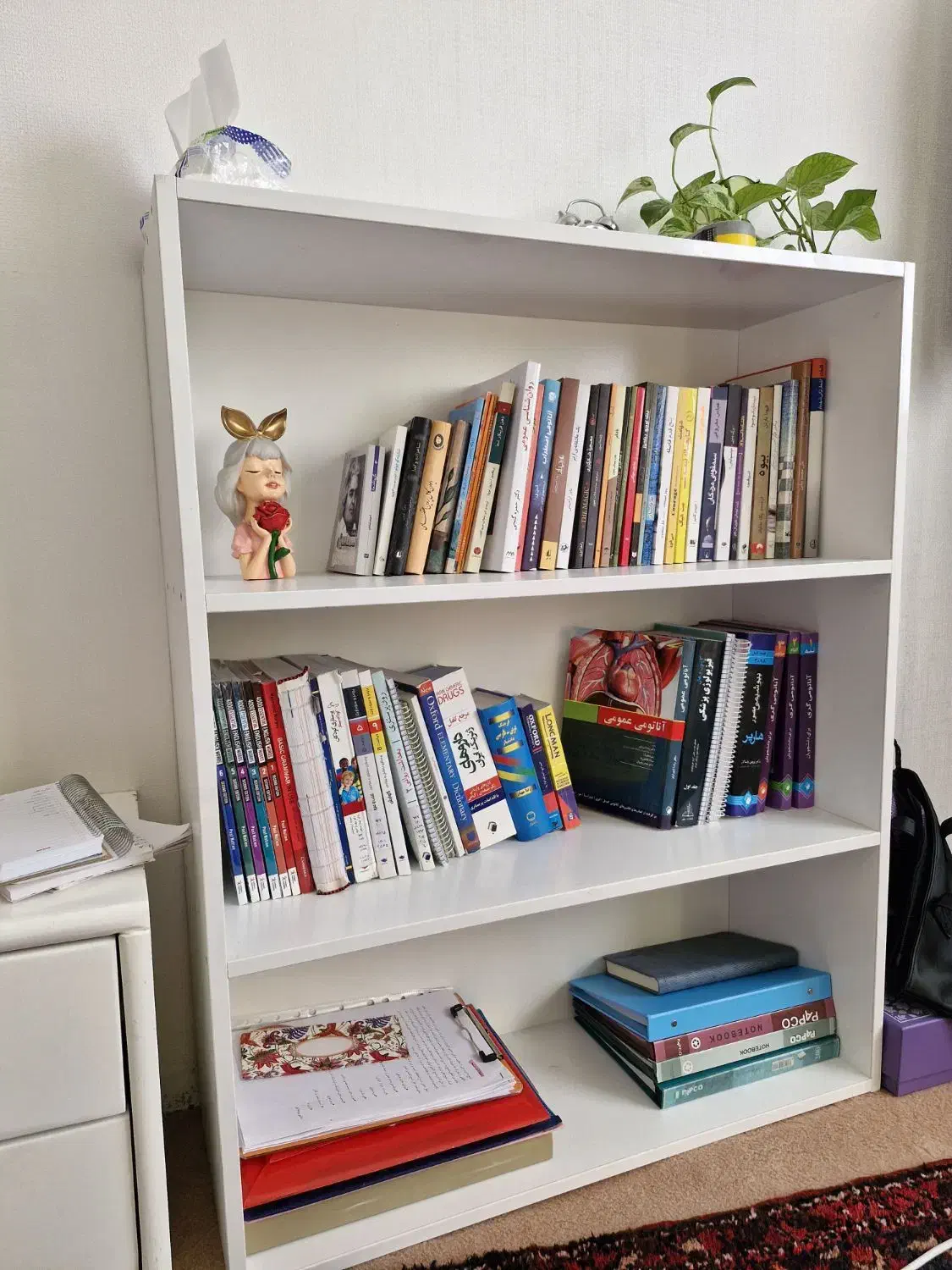 کتابخانه چوبی سفید|کتابخانه، شلف، قفسه‌های دیواری|قیدار, |دیوار