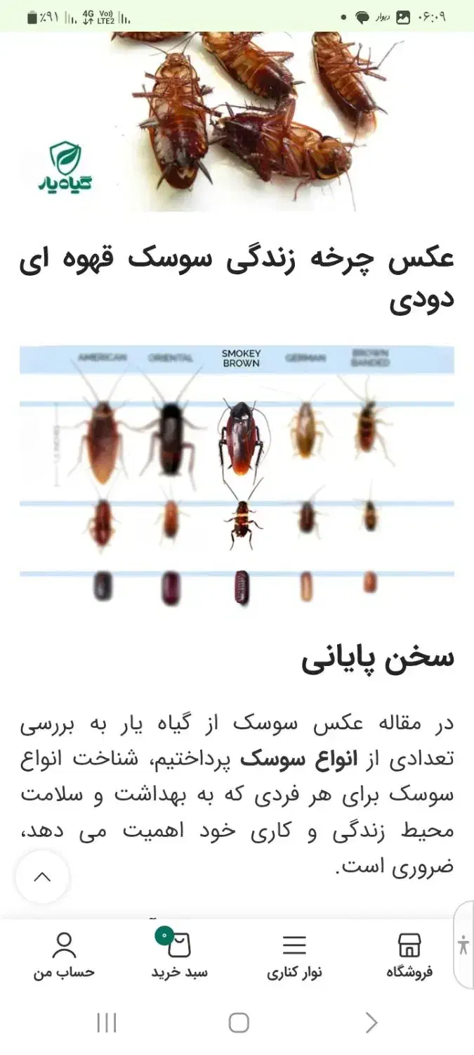 سمپاشی منزل و باغشهری|خدمات نظافت|صدرا-فارس, فاز ۲|دیوار