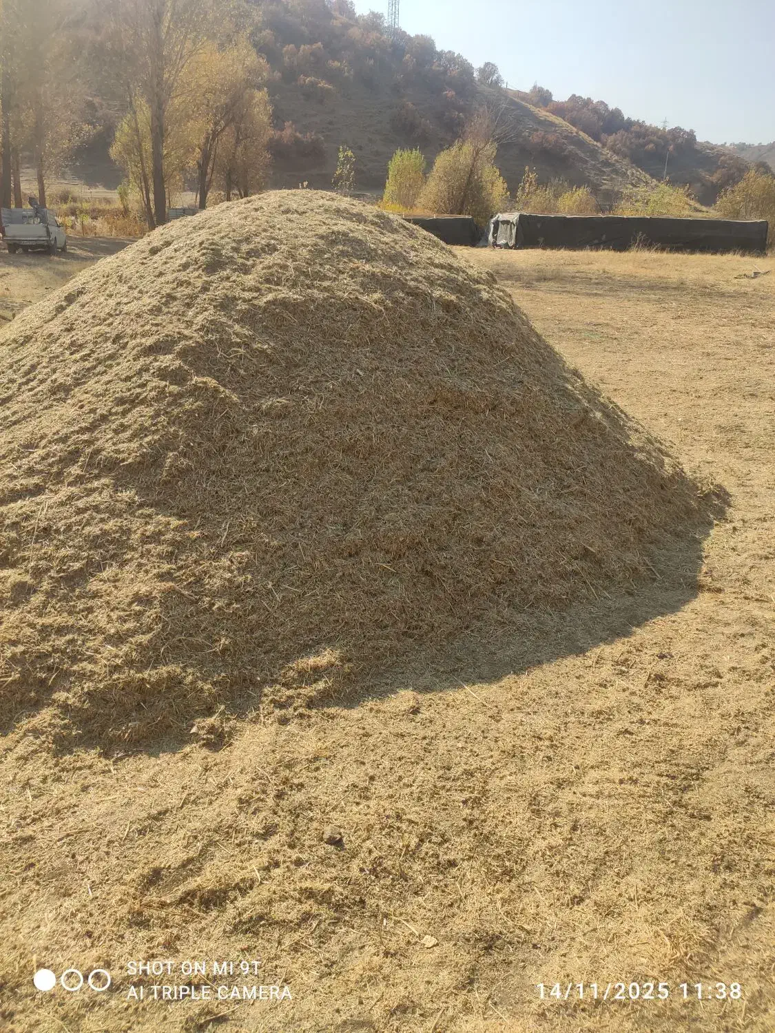 آلفسوزه|حیوانات مزرعه|مریوان, |دیوار