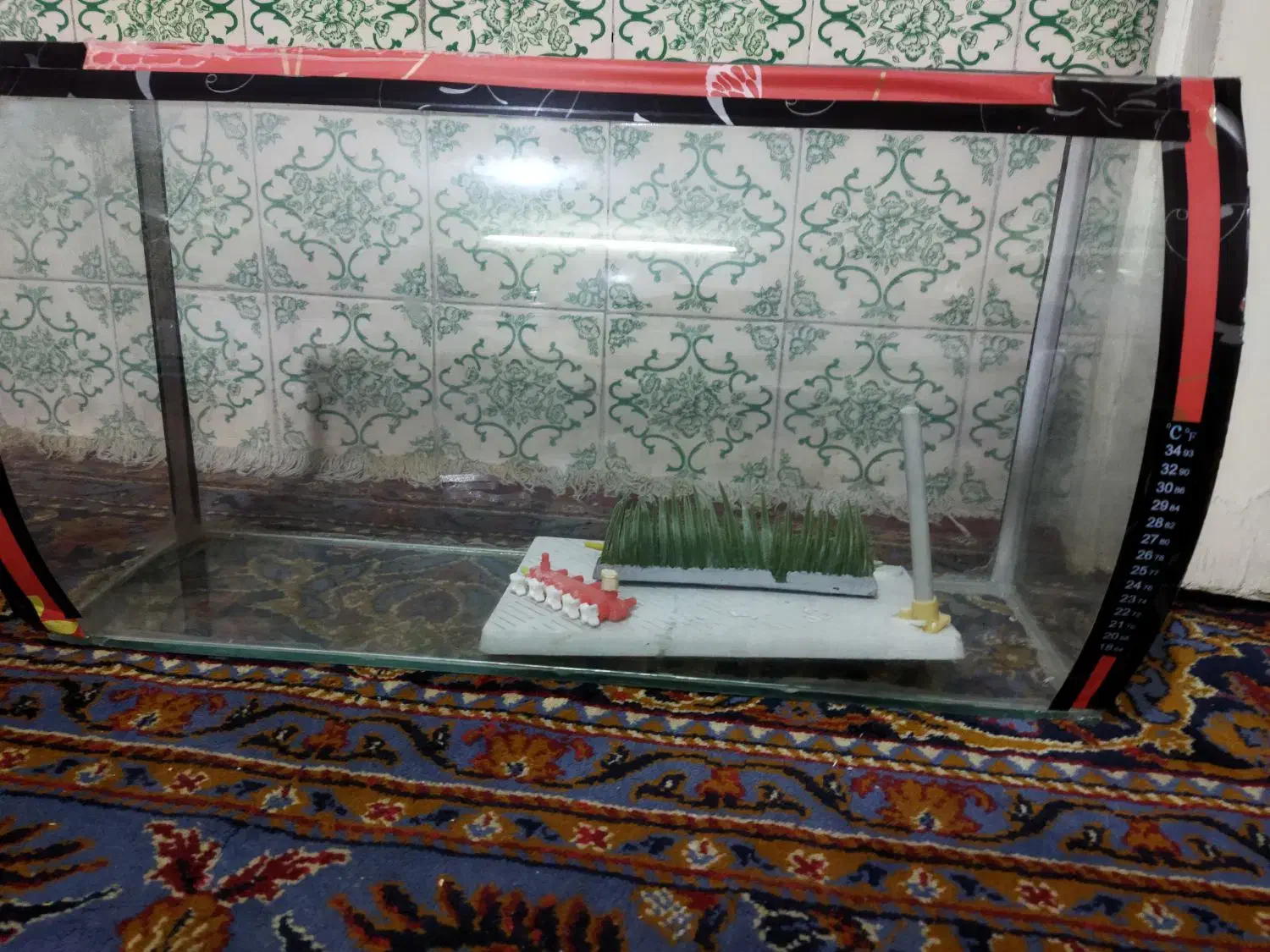 آکواریوم|لوازم جانبی حیوانات|مشهد, امام رضا (ع)|دیوار
