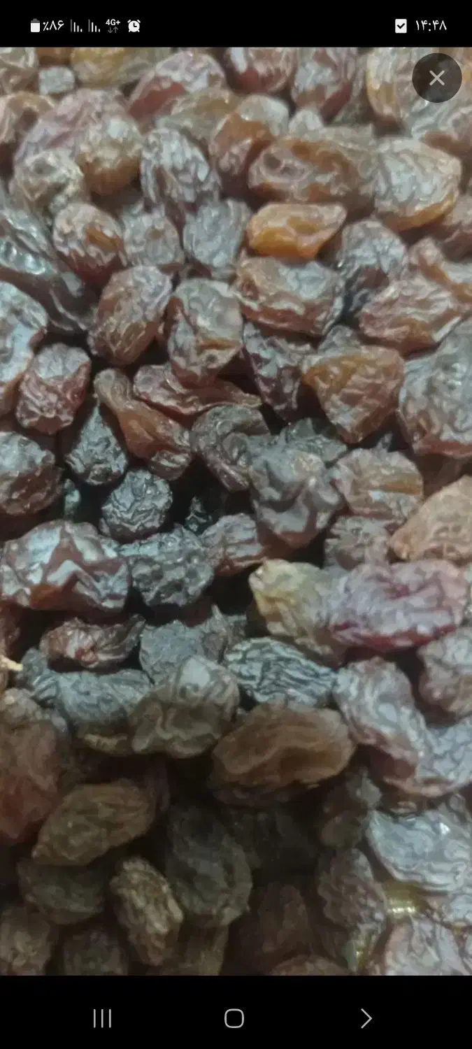 کشمش|خوردنی و آشامیدنی|تاکستان, |دیوار