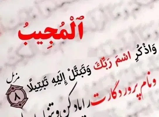 نیازمند ضامن|خدمات مالی، حسابداری، بیمه|ایرانشهر, |دیوار