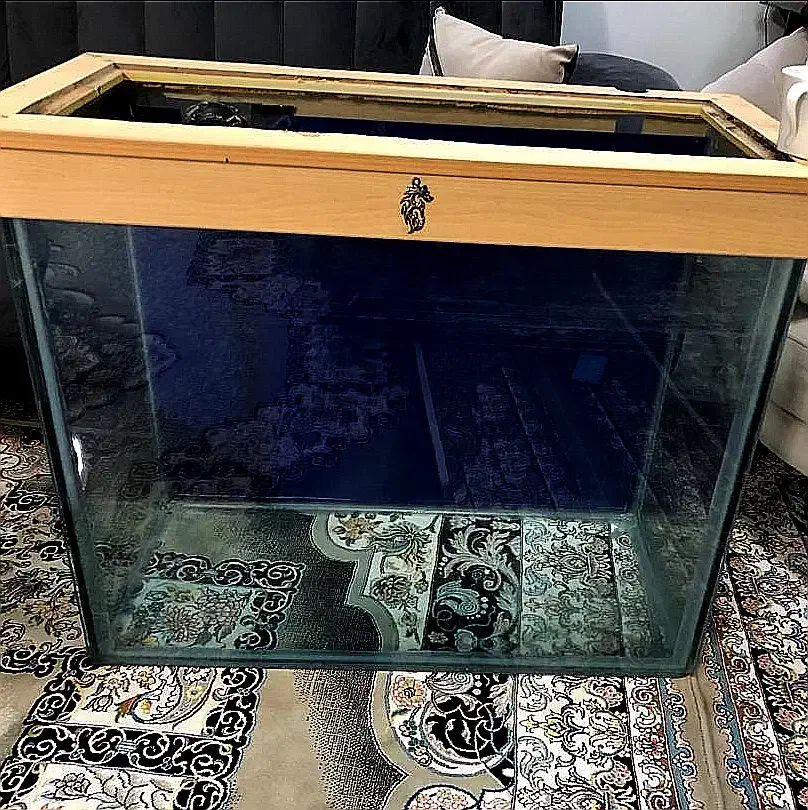 آکواریوم فروش|ماهی|همدان, |دیوار