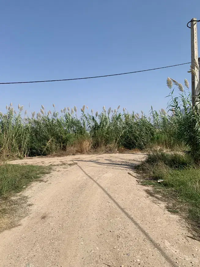 ۶ قطعه زمین مسکونی ۱۳۳ متری با دهنه ۶.۲۸ کنارهم|فروش زمین و ملک کلنگی|گالیکش, |دیوار