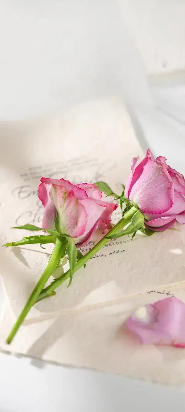 0922-255-3065|سیم‌کارت|ساوه, |دیوار