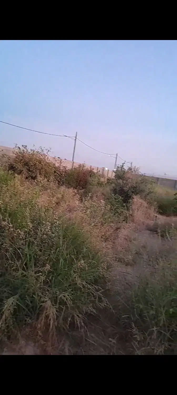 علف زنی باغ و باغچه|خدمات باغبانی و درختکاری|اندیمشک, |دیوار