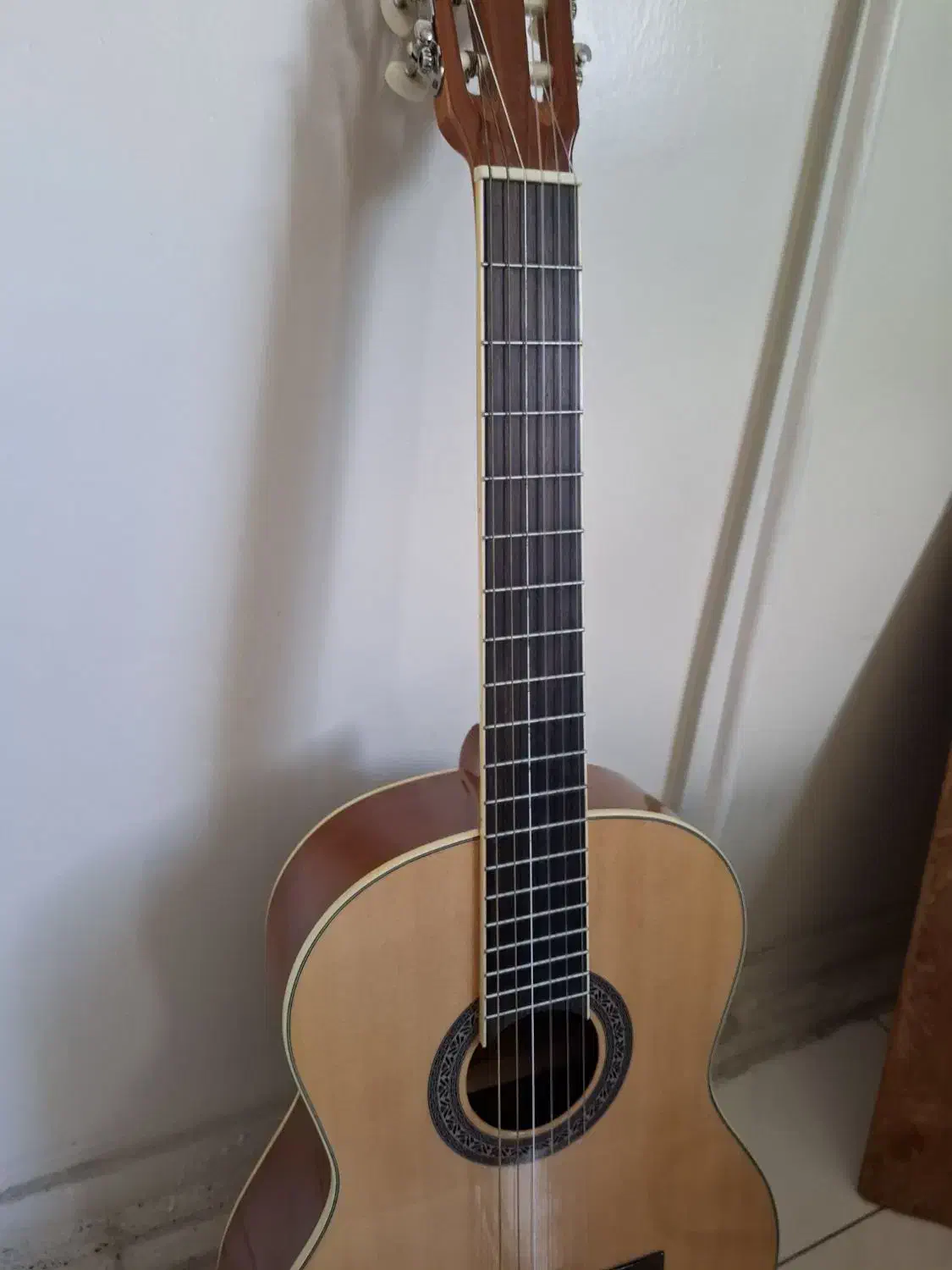 گیتار|گیتار، بیس، امپلیفایر|تهران, تختی|دیوار