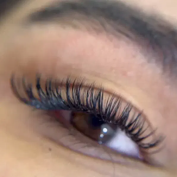 مژه و لیفت ابرو|خدمات آرایشگری و زیبایی|قرچک, مهدیه|دیوار