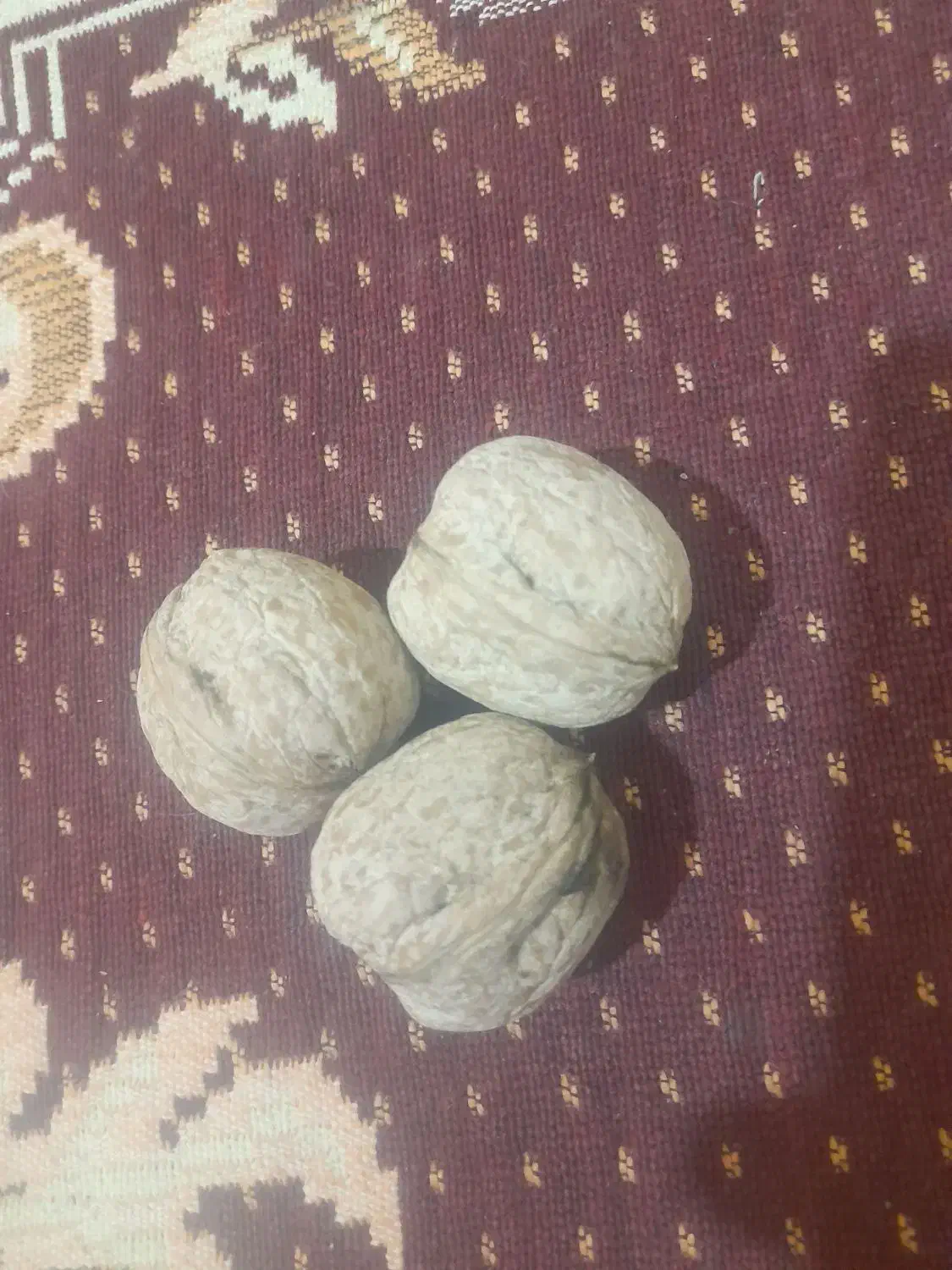 گردو کاغذی درجه ۱|خوردنی و آشامیدنی|سنقر, |دیوار