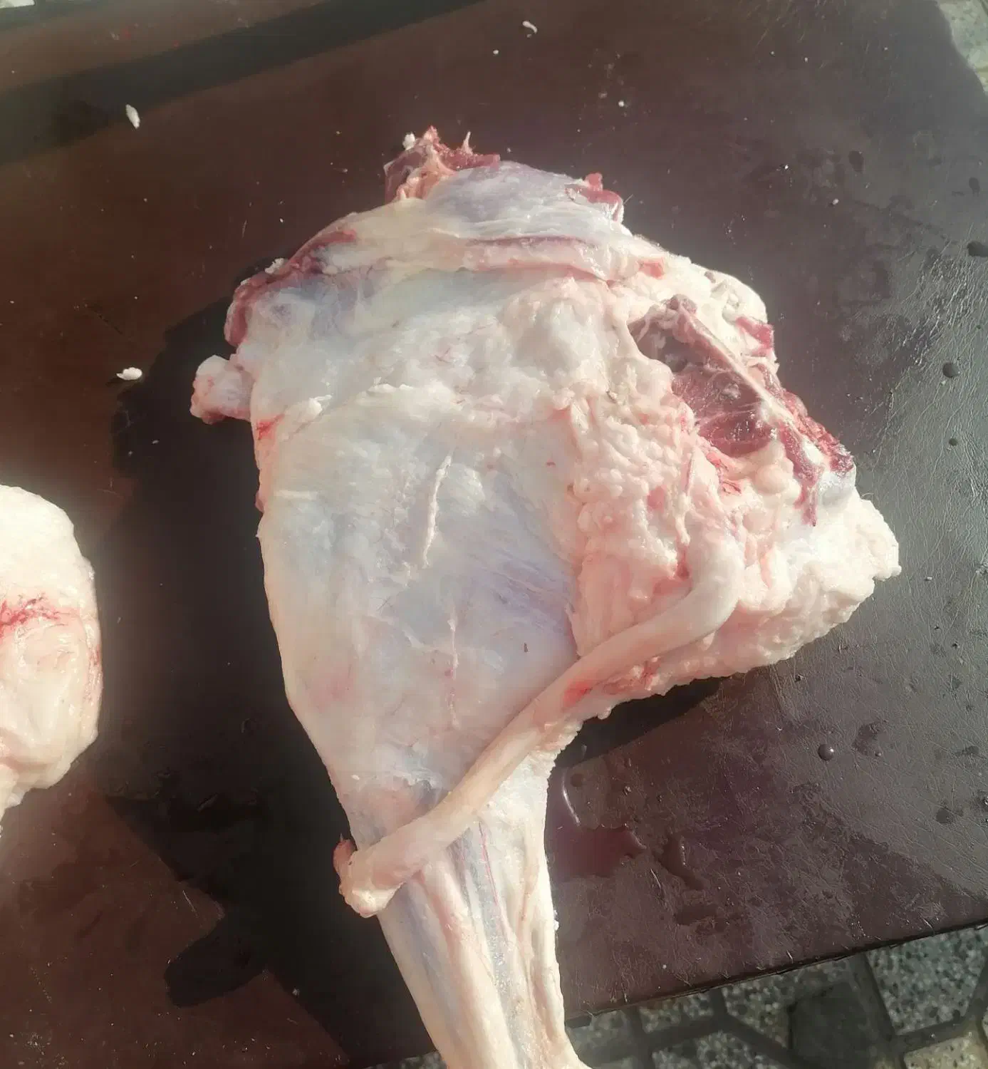 قصابی|خوردنی و آشامیدنی|تربتحیدریه, پائین ولایت|دیوار