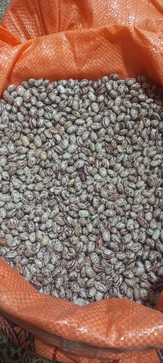 بذر|خدمات باغبانی و درختکاری|پارس‌آباد, |دیوار