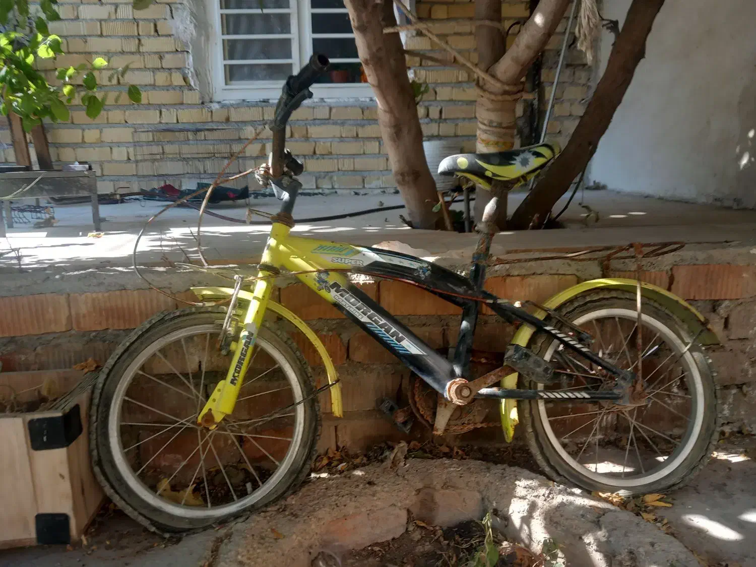 دوچرخه نیازمند تمییر|دوچرخه، اسکیت، اسکوتر|مرودشت, تخت جمشید|دیوار