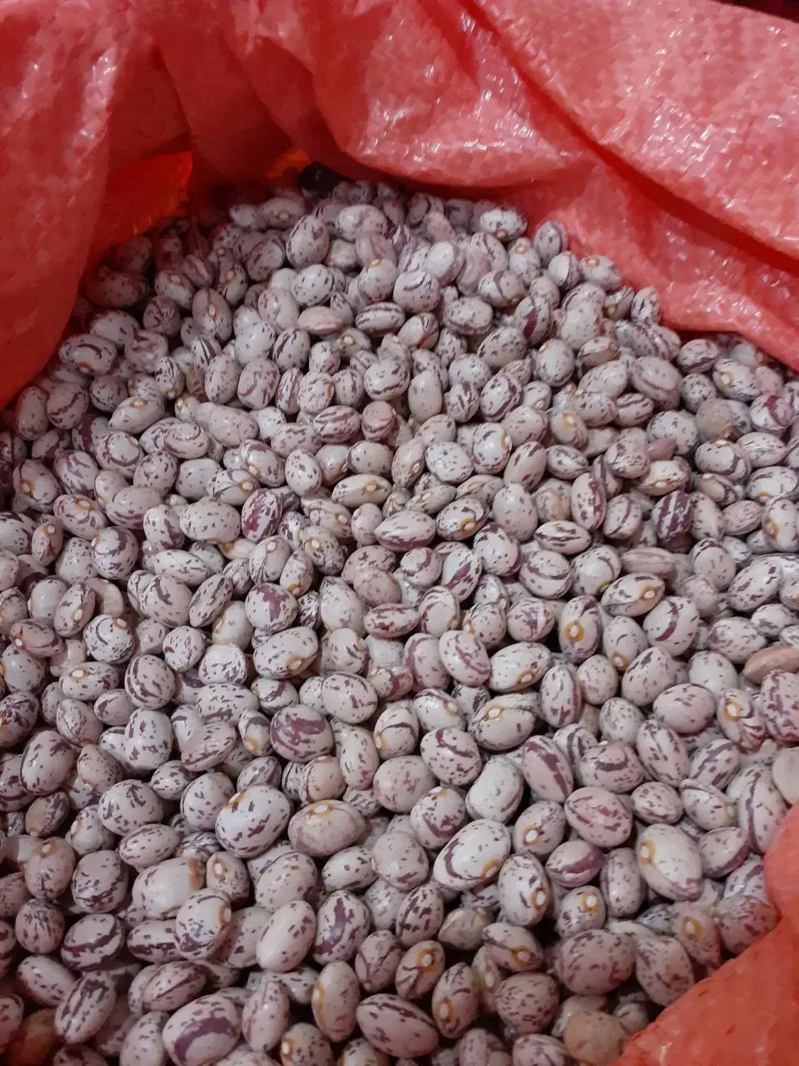 لوبیا چیتی خمین  فقط فقط 315هزار تومان|خوردنی و آشامیدنی|کاشان, فاز ۱ ناجی آباد|دیوار