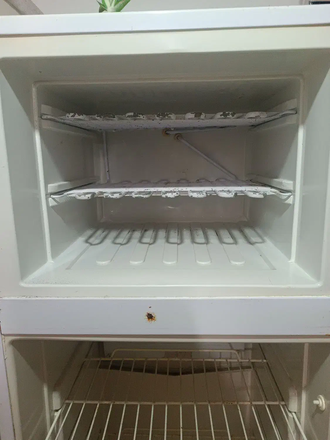 فروش یخچال|یخچال و فریزر|لنگرود, |دیوار