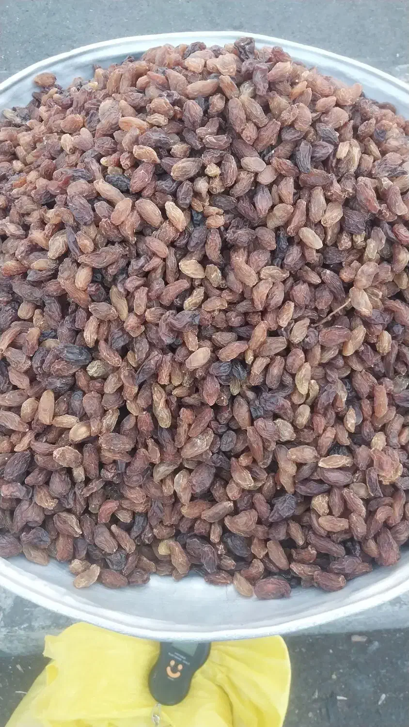 مویز درجه یک|خوردنی و آشامیدنی|تهران, خاک سفید|دیوار