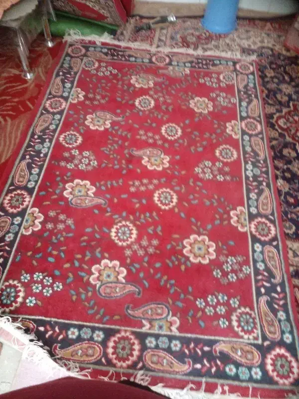 قالی یکنیم در دونیم نوه نوه هنوز پانخورده|فرش|زرند, |دیوار