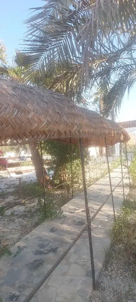 حصیر راه رو|صنایع دستی و سایر لوازم تزئینی|کیش, |دیوار